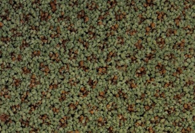 SPECTRUM DOT 438730 4M