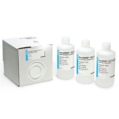 AccuGENE&reg; 1X TE Buffer