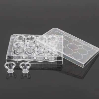 Single 12 Well Plate + 12 Cell Culture Inserts, PET Membrane, 1&mu;m, Non-Treated, Sterile, 4 plates