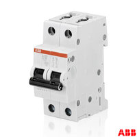 ABBNH0076 S202-C25 25A 2P MCB Type C