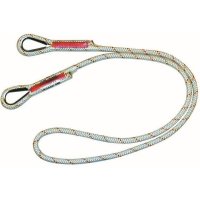 Protecta Restraint Lanyard