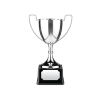 25cm Swatkins Replica Nickle Plated Cup