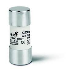 22X58 gG Fuse 80A