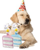Rubber Birthday Cake Pet Toy