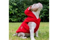 Ancol Snug Fit Teddy Bear Fleece Bordeaux Small 30cm x 1