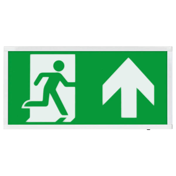 ESP Duceri Emergency Surface Exit Box 3W LED IP20 Up Legend Lithium Battery Maintained White