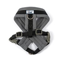 Ancol Viva Padded Harness Medium 41-53cm Black x 1