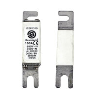 Bussmann 170M1319 Square Body Fuse 160A (1)