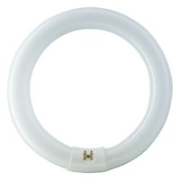 TLE 32W/84 FL LAMP CIRCULAR