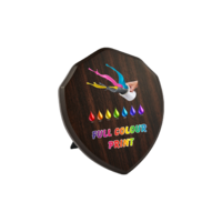 17.5cm Cherry Shield - UV Printed