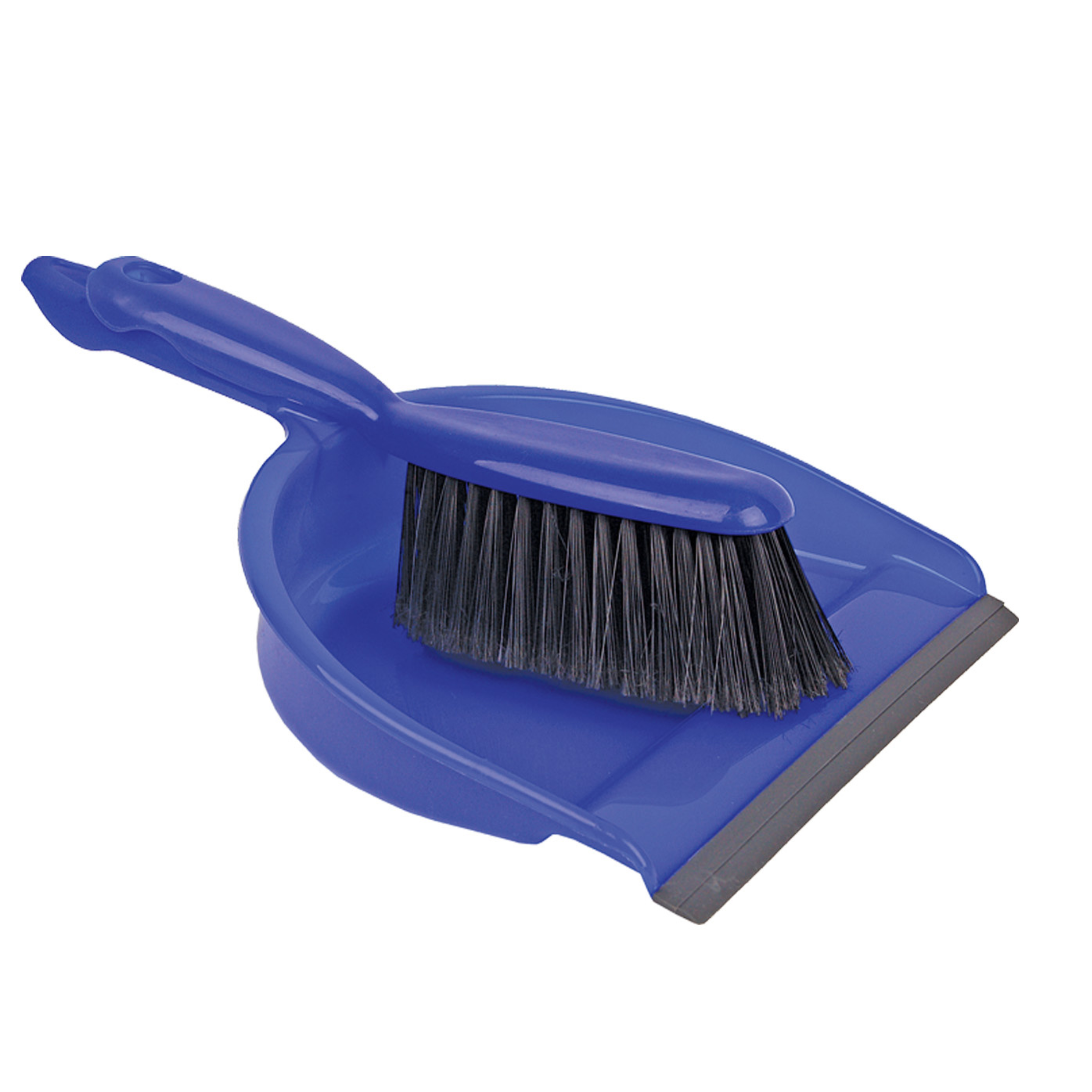 Professional Dustpan & Soft Brush Set