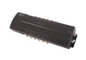 Domestic Distribution