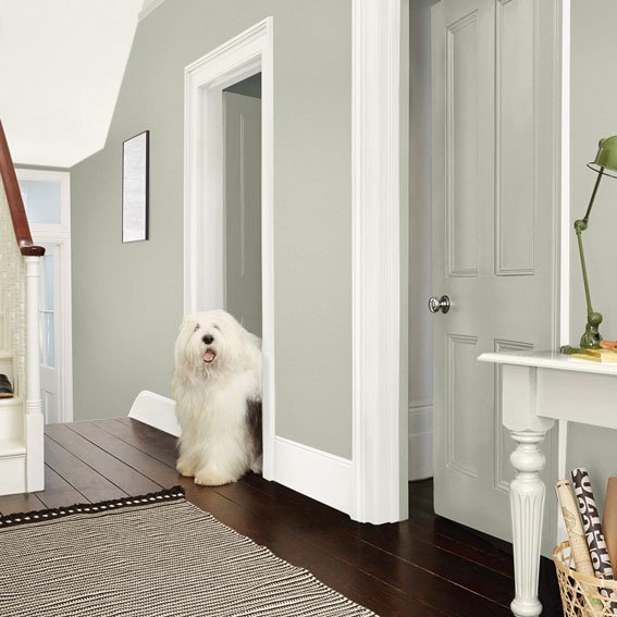 Dulux Aquamax Primer Undercoat White Interior Inspiration
