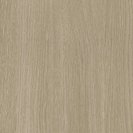 Grey Beech - NF74