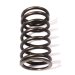 VALVE SPRING