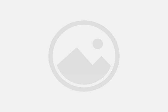 Bromocresol Green Indicator 0.1% (w/v) Aqueous Solution