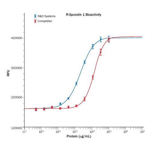 Protein, Recombinant Human R-Spondin 1 Protein, CF, 100 &micro;g