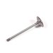 INTAKE VALVE