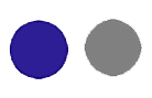 Uniform Badge Blue And Grey