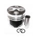 PISTON, PIN & CLIPS - STD