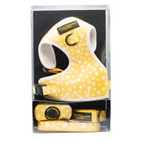 Paw Highness Doggy Walk Bundle Paw and Bone