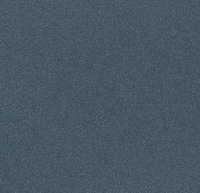 SURESTEP LAGUNA STEEL 181252 2m