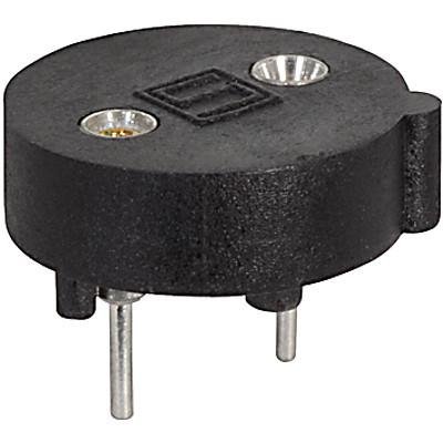 FMS Fuse holder for MSx250 (250V)