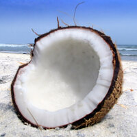a coconut halved on a sandy beach