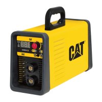 Cat Inverter Welder DZ161