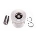 PISTON, PIN & CLIPS - STD
