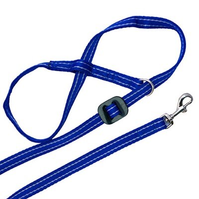 Gencon All In 1 Clip to Collar Headcollar & Lead Blue/White