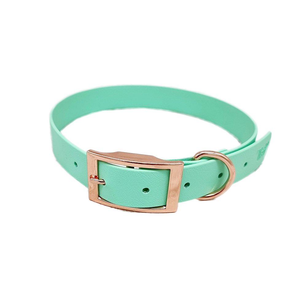 Trinkety Paws City Collection Biothane Dog Collar Seafoam Extra Small 20-30cm 16mm