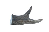Wild Antler Co. Deer Antler - Medium x 1