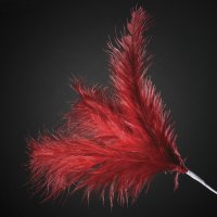 3 Feathers Spray Red (H)28cm - Pack of 36