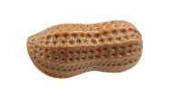 Dog Life Tuffs TPR Nutty Mini 11cm x 1