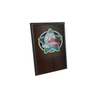 10cm Soccer Plaque.