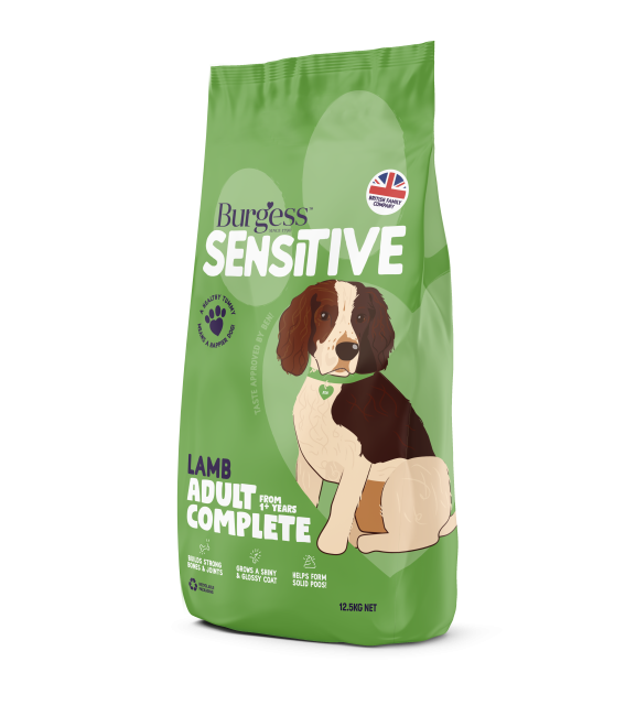 Burgess Sensitive Lamb & Rice Dog Food 12.5kg AR Wholesale