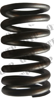 Valve Spring
