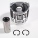 PISTON, PIN & CLIPS STD