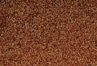 SPECTRUM TONALS 440610 4M