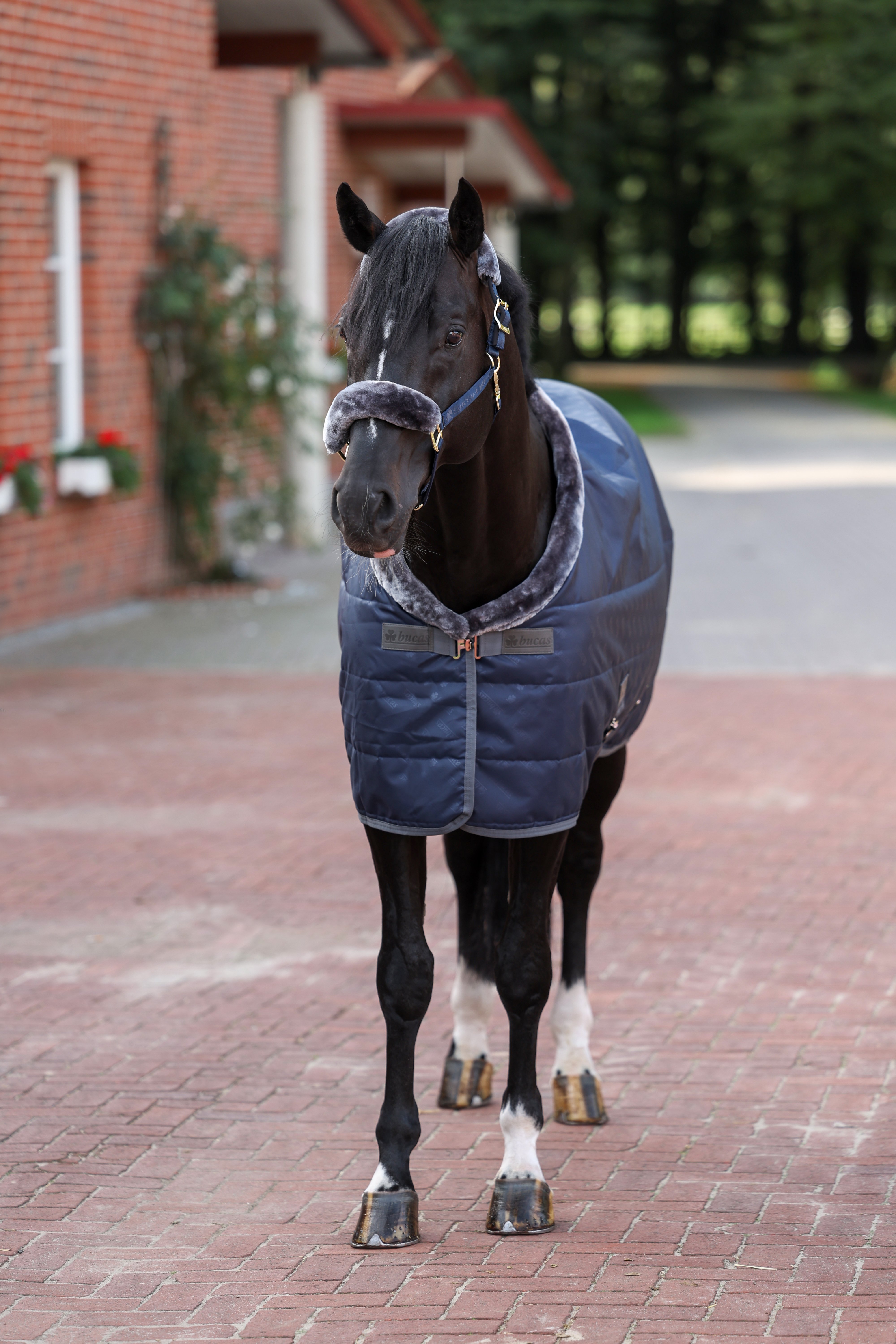 Show-Line Stable Rug 150 SF 125 