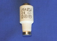 Fuse  25 Amp DZII Slow Blow