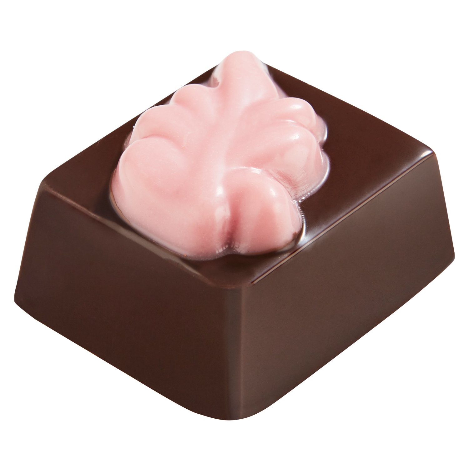 Melrose - dark chocolate with blackcurrant ganache 17.2g - 1.2kg