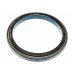 REAR SEAL