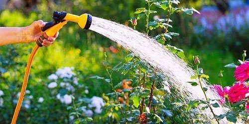 Watering & Irrigation