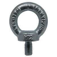eLumen8 M12 DIN 580 Eyebolt