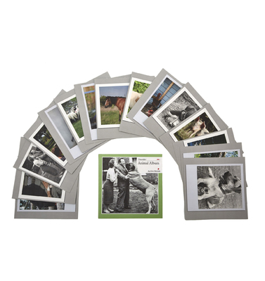 Timeslide Animal Cards 