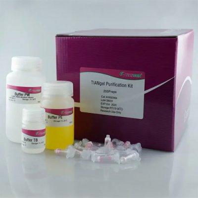 Purification Extraction Kit