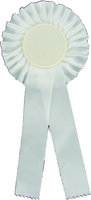 25cm Rosette with 50mm Recess (White)