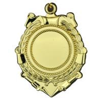 65mm Medallion (Gold)